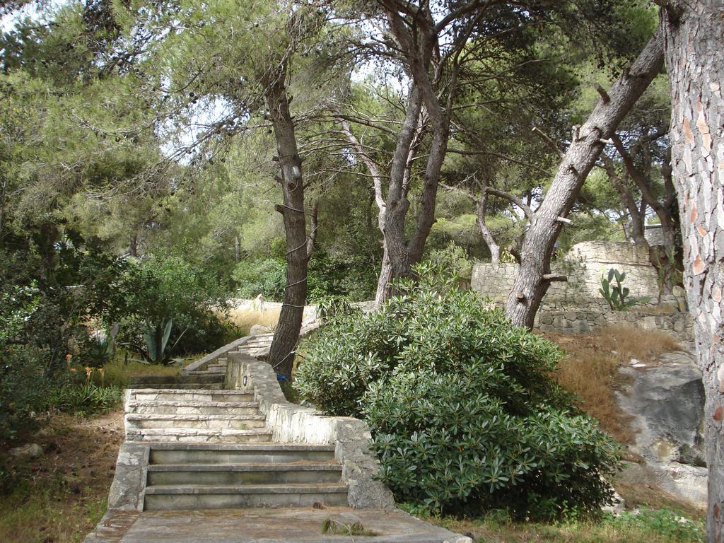 Villa Trullo In The Wood à Nardò Extérieur photo